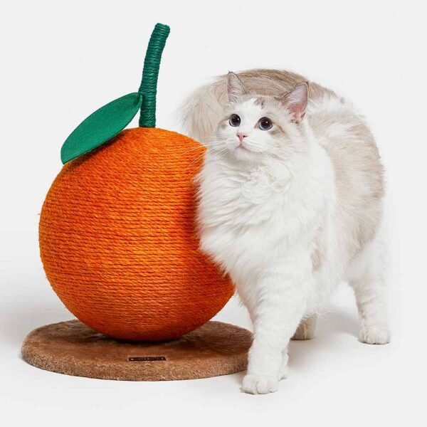 Tangerine Cat Scratching Ball
