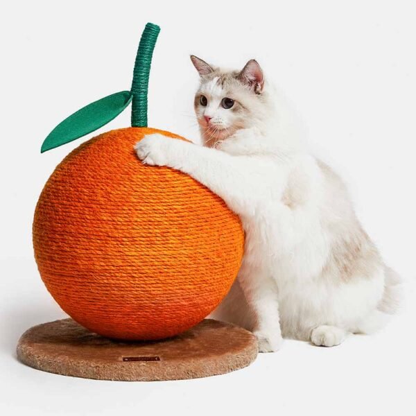 Tangerine Cat Scratching Ball