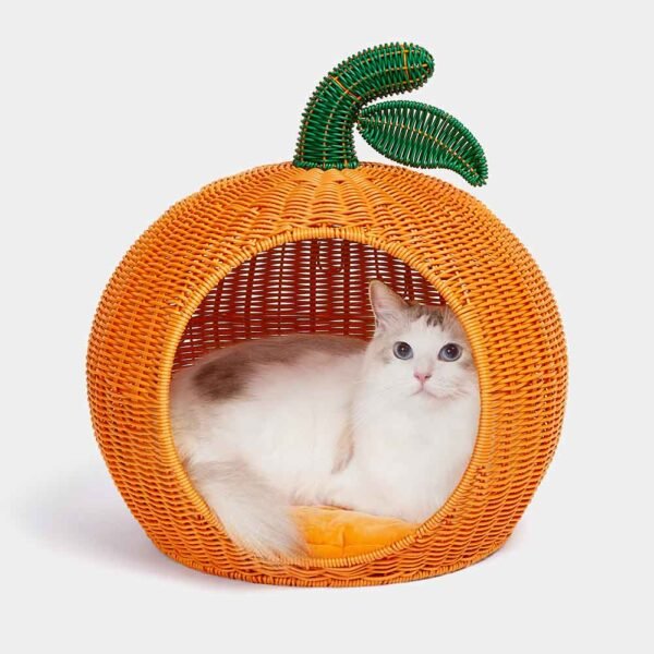 vetreska-tangerine-rattan-bed-for-cats-dogs-cat.jpg GPBD-19047 Tangerine Rattan Bed For Cats & Dogs
