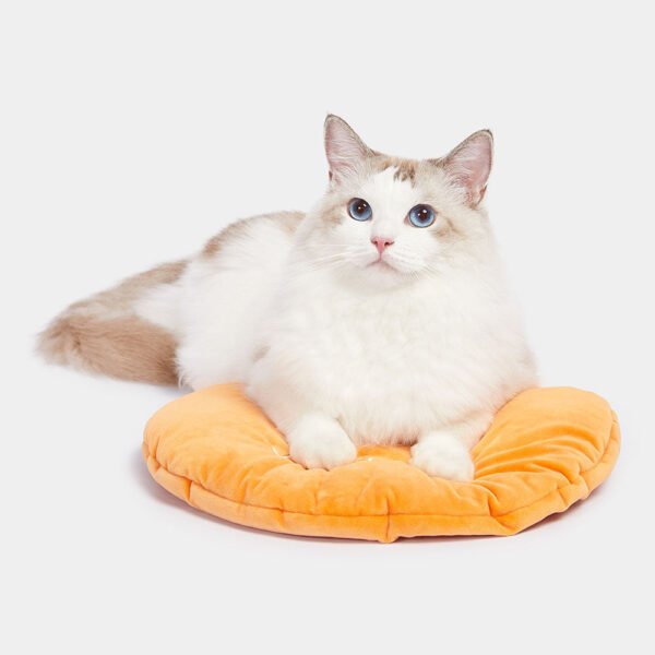 vetreska-tangerine-rattan-bed-for-cats-dogs-cushion-cat.jpg GPBD-19047 Tangerine Rattan Bed For Cats & Dogs