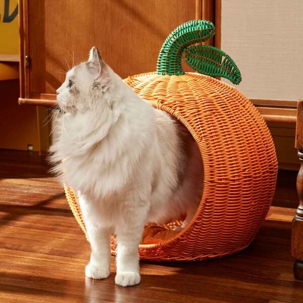 vetreska-tangerine-rattan-bed-for-cats-dogs-lifestyle-2.jpg GPBD-19047 Tangerine Rattan Bed For Cats & Dogs