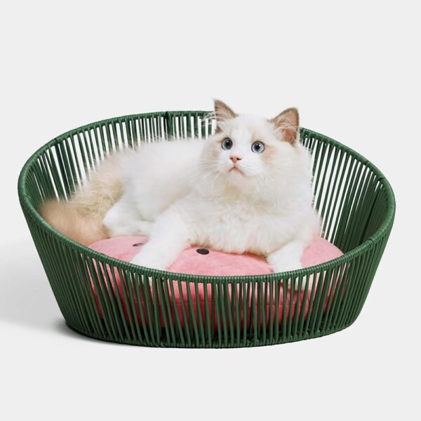 GPBD-19045 Watermelon Rattan Bed For Cats & Dogs