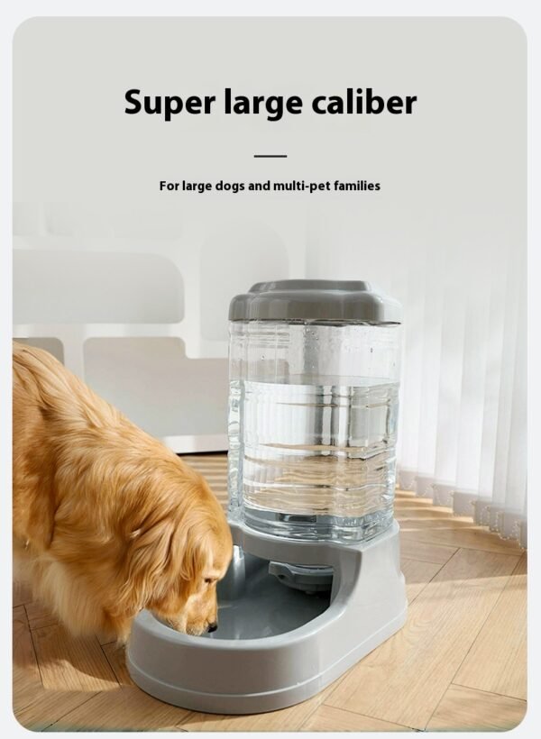 GPTW-81003 Water dispenser